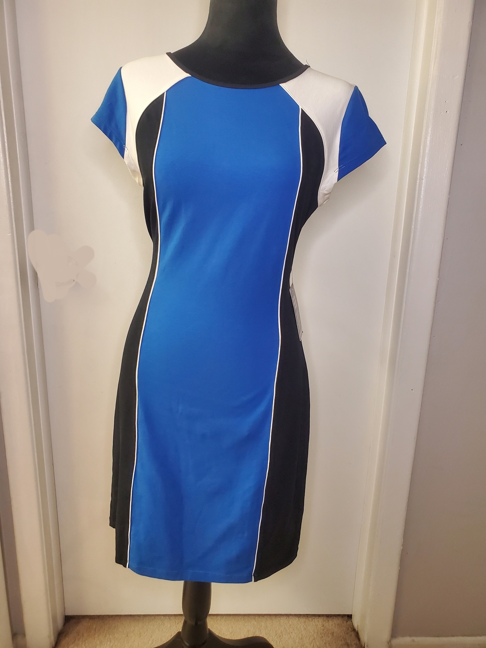 Express Color-Block Blue Sheath Dress with Contrast Panels